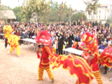 Ngày xuân trảy hội chùa Phù Liễn